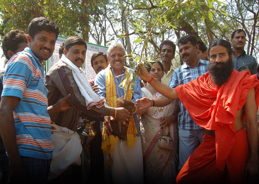 Afforestation and Agroforestry